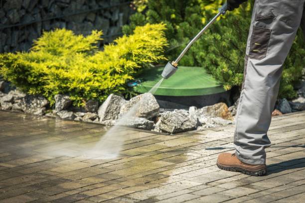 Best Animal Enclosure Cleaning  in Southport, CT